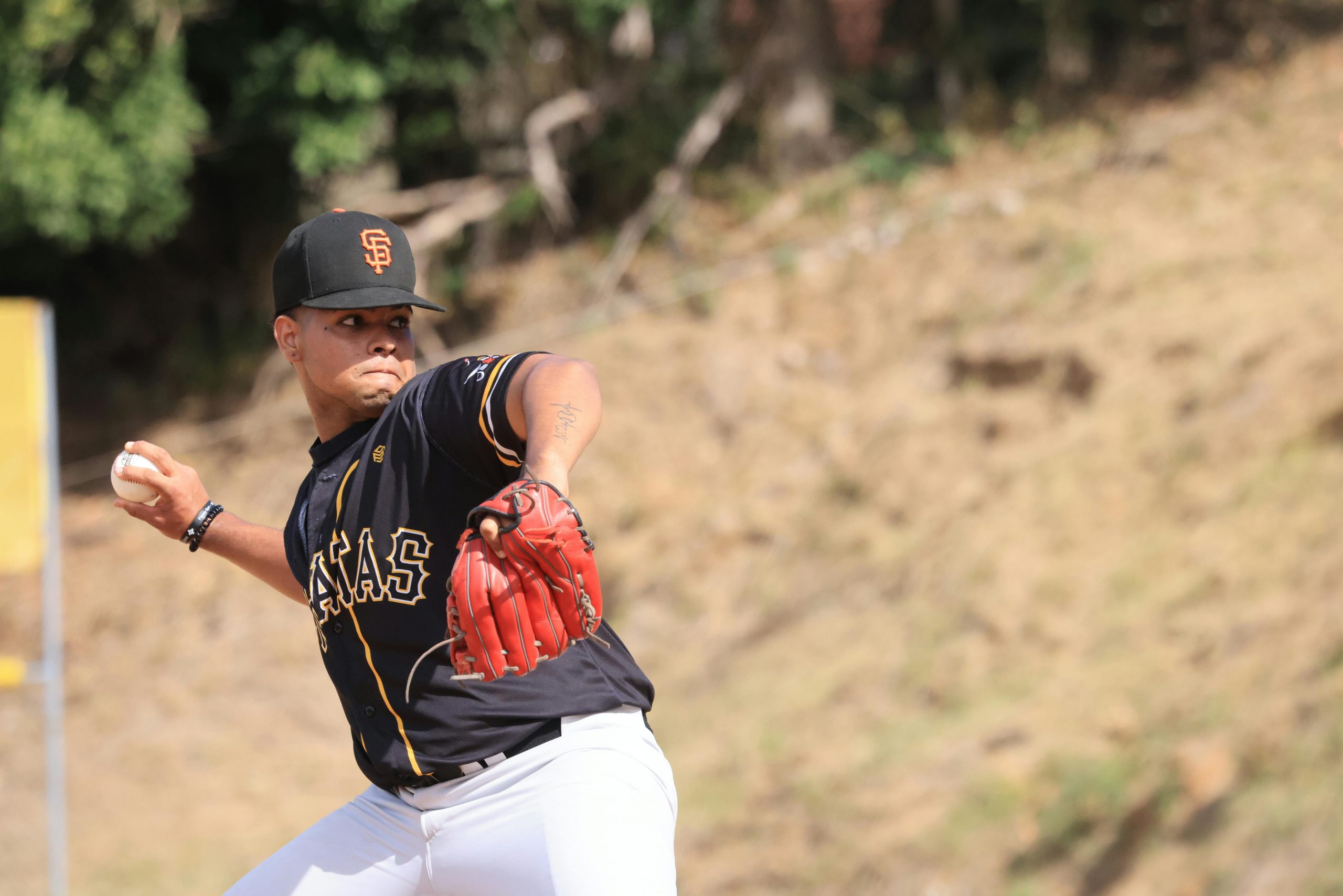pitcher showing a cutter grip